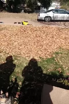 #afv