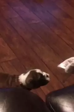#afv