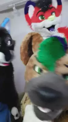 #furry #fursuit #furries #fursuiters #thesasshole @tallfuzzball