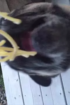 #afv