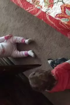 #afv