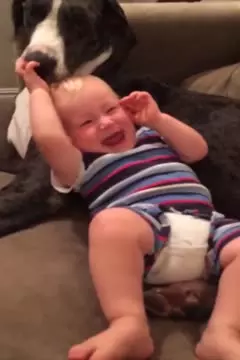 #afv