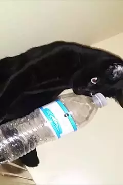 #afv