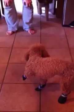 #afv