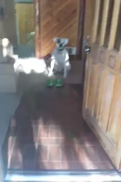 #afv