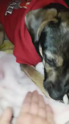 inspirado por @juandelbarrio 😍😍