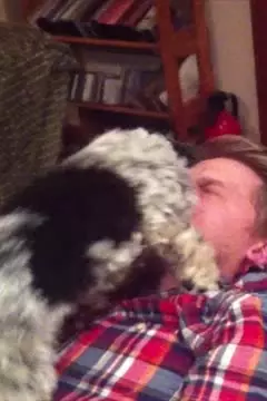 #afv