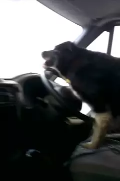 #afv