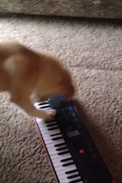 #afv