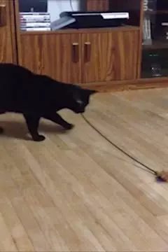 #afv