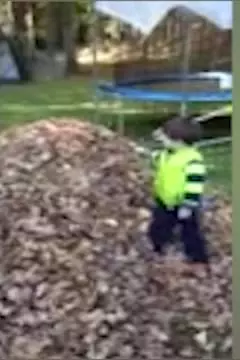 #afv