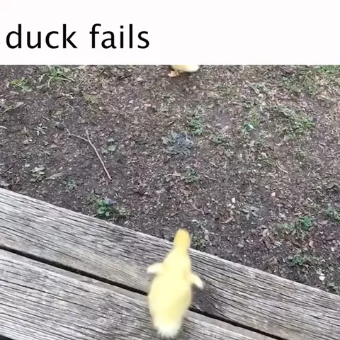 Ka-BOOM! 