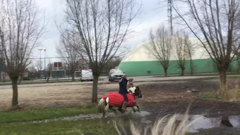 @lukaoste on kyra in the water haha , it was a fun day! #horse #water #fun