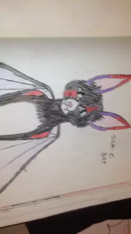 IB @ø_dåñ_ø I finally figured out what type of bat Sam is. Flying Fox #furry 