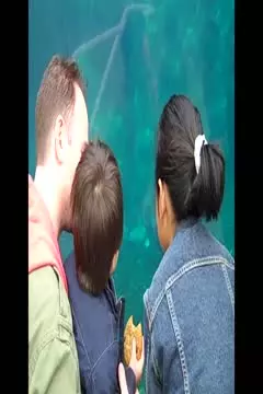 #afv