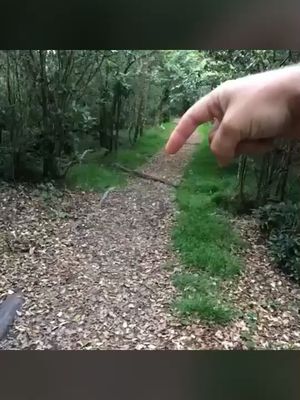 When you're too tired to walk 😂 #art #stopmotion #magic