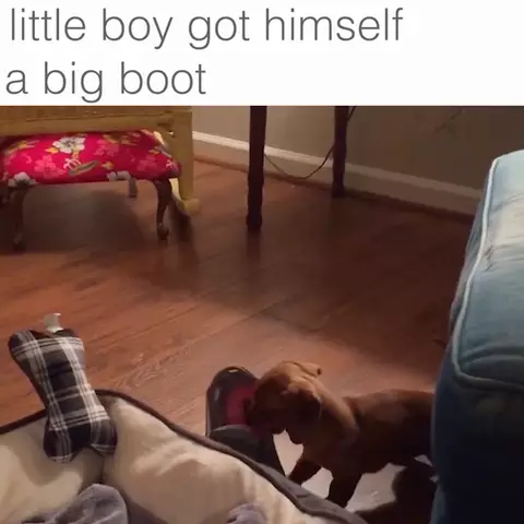 Dat boot too big for his feet!