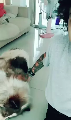 #Emah