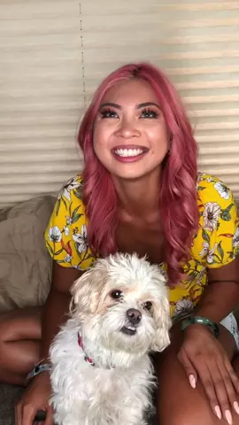 Try this with your pet 😊 #PetHeadBop #Cute | Youtube: OurFire 🔥