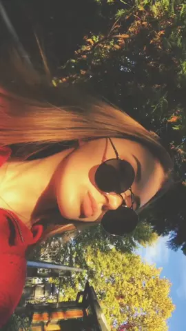 🍁