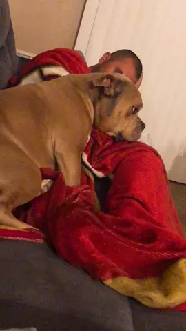 He doesn’t want to leave .. stuck on his daddy #furbaby#pitbull#gentlepitbull#nothingbutlove