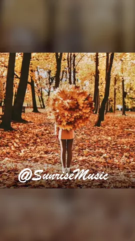 Happy Thanksgiving! 🦃🍁 Tag someone you’re thankful for!😊 I’m thankful for all of you ♥️ #smusic