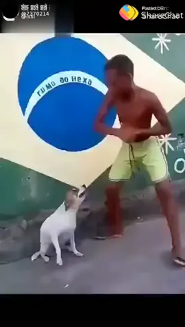 dogs dancing with boy #tiktokindia#duet #tiktokindia like&comment