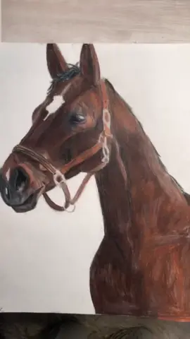 💕Cholo💕 #art #drawing #horse