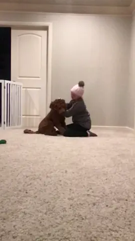 @teddythecutepup  pls go follow❤️Love ya ted❤️