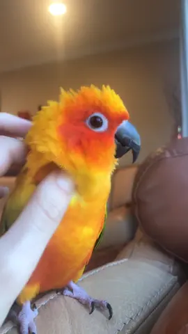 Can you see Mango’s smile? He’s so cute!!☺️💕
