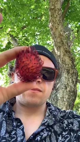 First time having a rambutan #hawaii #fruit #food #foryou #thailand #duet #react #trending #music