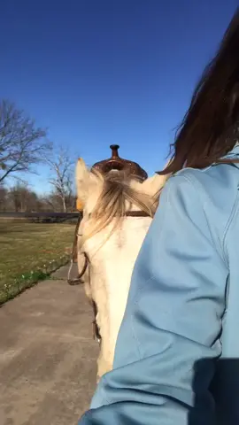 Just walking with my favorite buckskin💗💗 What’s your favorite shade of buckskin?