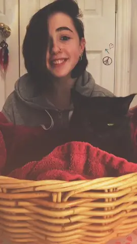 just a cat purring in a basket❤️🦁 #petremakes #PetsOfTikTok #pets #cats #foryou #foryoupage