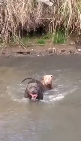 #mypitisamazing #momandson #westtxpit #conchoriver