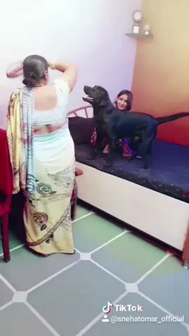 mera pyara lucky khud mar kha lega mere pichhe par mujhe nhi marne dega😘😘😘😘