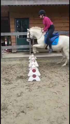 Met de knappe Silvia van @janne.l 😍❤️😍#pony #fun #jump #beauty #galloping #foryou #foryoupage