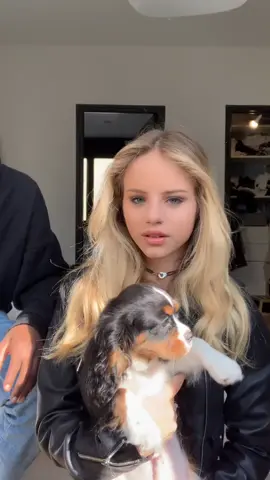 🕊