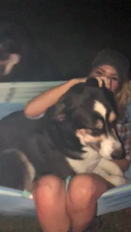 Bandit always has to sit with mama💕 #hammock #campfire #country #summernights #tiktok #foryou