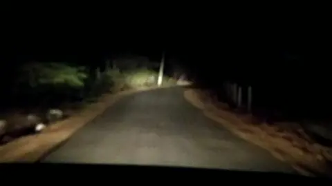 Driving in the Jungle. Night Drive..Feeling Crazy #jungledrive #jungle #nightdrive #crazy
