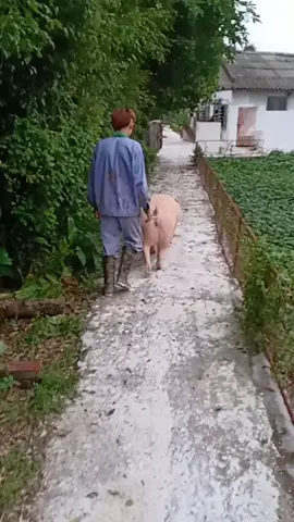 để anh thể hiện😂..đưng để ❤️ trắng nha😘