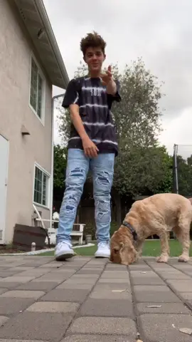 My dog wanted to be in one of my videos I guess😂😂😂 #foryou #foryoupage #doggo #dog #tiktok
