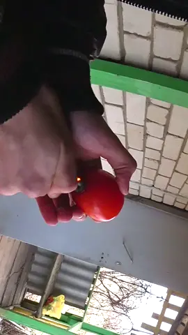Сами думайте что написать ) #крик