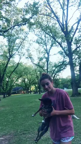 #foryoupage #thedogisfine #haha