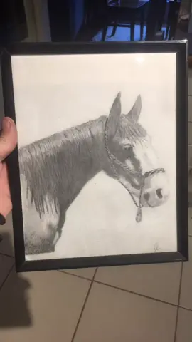 Comment Your Drawings Below  #duetthis #drawing #horsedrawing #original #lovehorses #foryoupage #fyp
