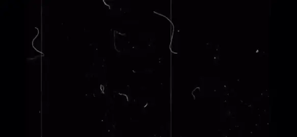 old video tape overlay! just save it, I’ll make a tutorial on how to add them 🥺#foryoupage #edit