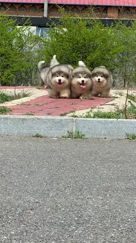 corrida faz bem pra nossa saúde, sabe?
