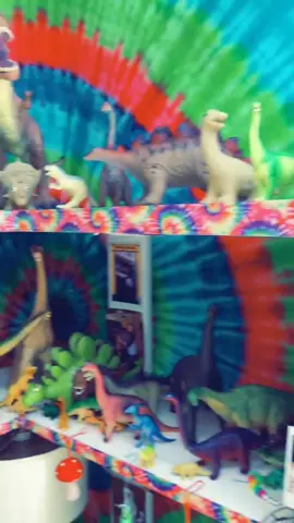 You can never have too many Dinos..🦕🦖🤗 #tiktok #dinosaurday #dinosaur