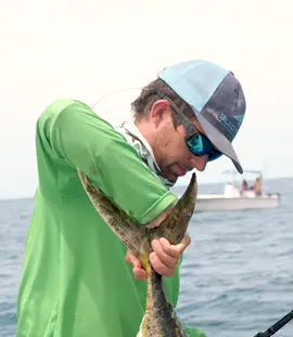 Big baits catch big fish 😁 #blacktiph #fishing #shark #summerwya