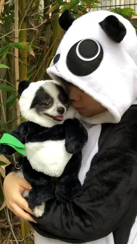 We aren’t a normal family but #normalisboring 😂 Owner re-reveal🐼❤️🐼 #contest @guavajuice
