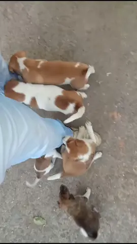 cuties